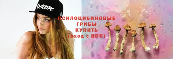 ПСИЛОЦИБИНОВЫЕ ГРИБЫ Арсеньев