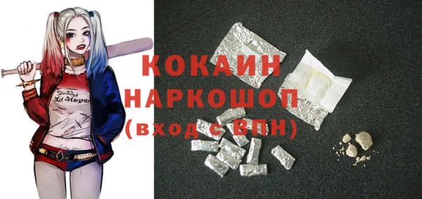 ПСИЛОЦИБИНОВЫЕ ГРИБЫ Арсеньев