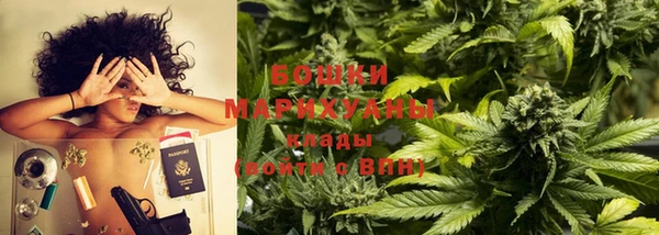 ПСИЛОЦИБИНОВЫЕ ГРИБЫ Арсеньев