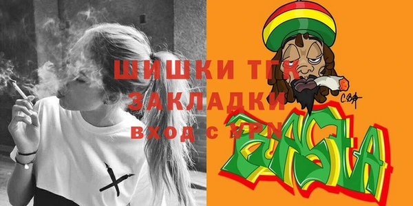 ПСИЛОЦИБИНОВЫЕ ГРИБЫ Арсеньев