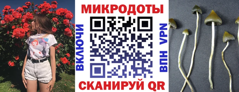 закладка  Асбест  Галлюциногенные грибы Magic Shrooms 